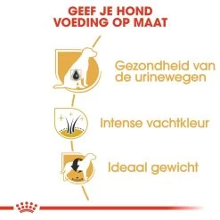 Royal Canin Hondenvoer Mini Schnauzer Adult 7,5 Kg 7 Royal Canin Hondenvoer Mini Schnauzer Adult 7,5 Kg -Huisdierbenodigdheden Bevordering royal canin mini schnauzer adult volwassen hond dwergschnauzer vanaf 10 maanden hero usp
