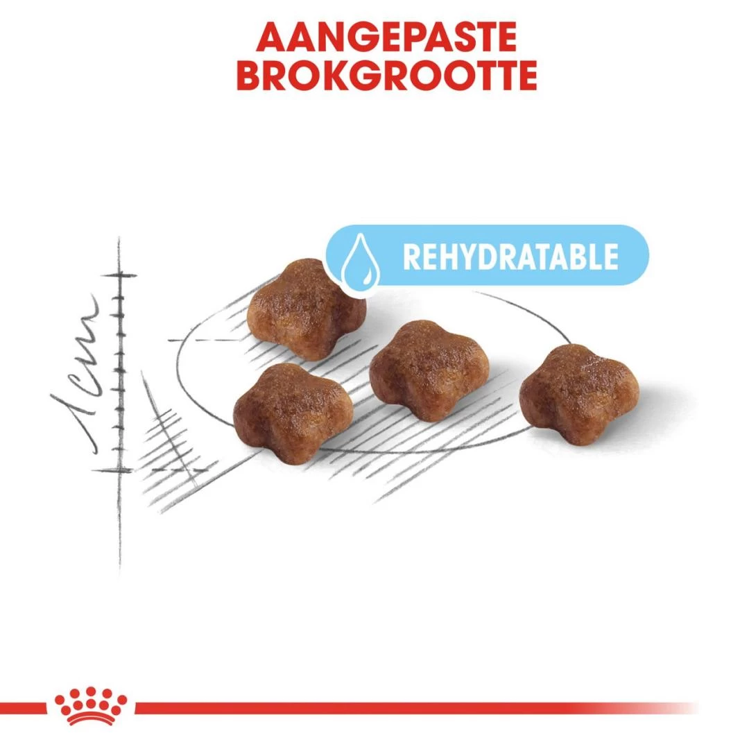 Royal Canin Kattenvoer Mother & Babycat 2 Kg 4 Royal Canin Kattenvoer Mother & Babycat 2 Kg - Afbeelding 2