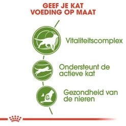 Royal Canin Kattenvoer Outdoor 7+ 10 Kg -Huisdierbenodigdheden Bevordering royal canin outdoor 7plus volwassen kat buitenkatten vanaf 7 jaar hero usp