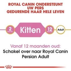 Royal Canin Kattenvoer Persian Kitten 10 Kg -Huisdierbenodigdheden Bevordering royal canin persian kitten kitten kat pers hero image 8