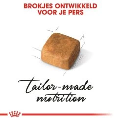 Royal Canin Kattenvoer Persian Kitten 10 Kg -Huisdierbenodigdheden Bevordering royal canin persian kitten kitten kat pers hero kibble