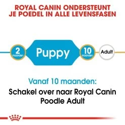 Royal Canin Hondenvoer Poodle Puppy 3 Kg 9 Royal Canin Hondenvoer Poodle Puppy 3 Kg -Huisdierbenodigdheden Bevordering royal canin poodle junior pup hond poedel hero image 9