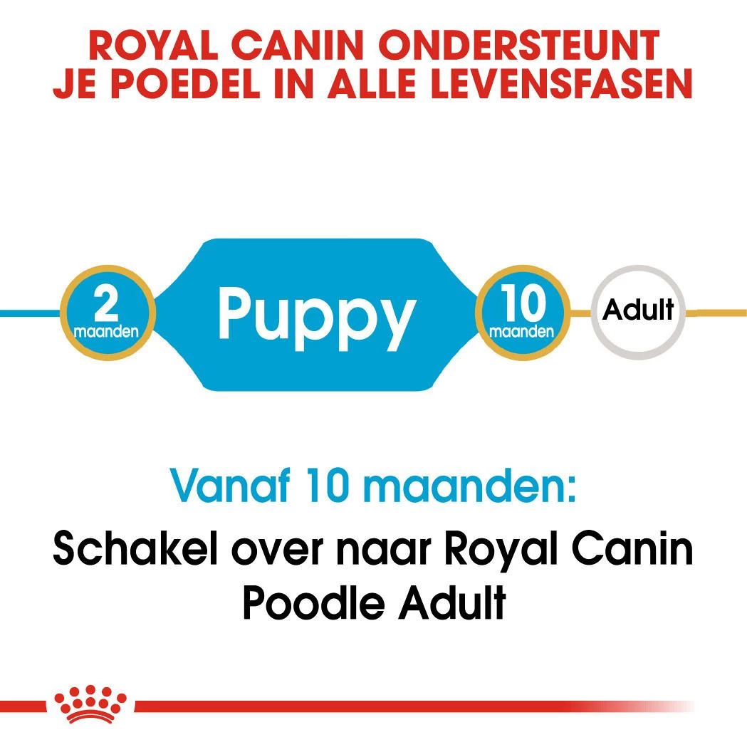 Royal Canin Hondenvoer Poodle Puppy 3 Kg 6 Royal Canin Hondenvoer Poodle Puppy 3 Kg - Afbeelding 4