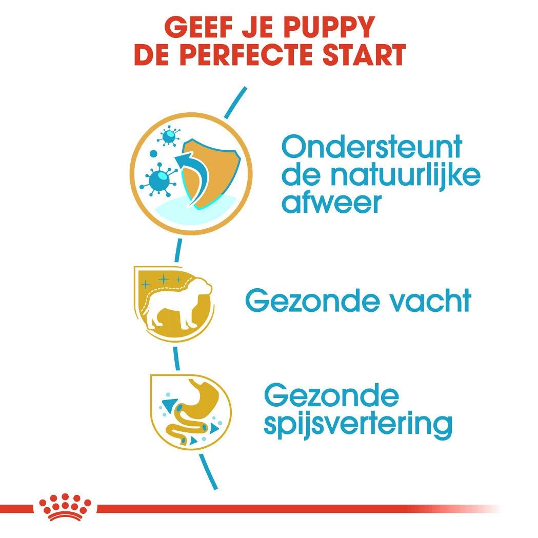 Royal Canin Hondenvoer Poodle Puppy 3 Kg 5 Royal Canin Hondenvoer Poodle Puppy 3 Kg - Afbeelding 3