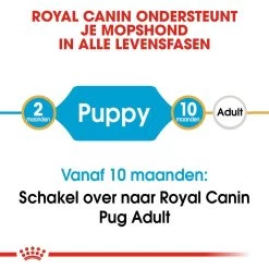 Royal Canin Hondenvoer Pug Puppy 1,5 Kg 9 Royal Canin Hondenvoer Pug Puppy 1,5 Kg -Huisdierbenodigdheden Bevordering royal canin pug mopshond junior pup hond mopshond hero image 9