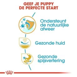 Royal Canin Hondenvoer Pug Puppy 1,5 Kg 8 Royal Canin Hondenvoer Pug Puppy 1,5 Kg -Huisdierbenodigdheden Bevordering royal canin pug mopshond junior pup hond mopshond hero usp