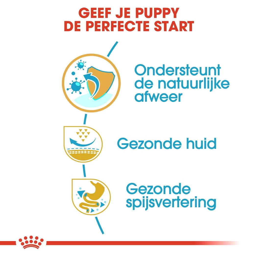 Royal Canin Hondenvoer Pug Puppy 1,5 Kg 5 Royal Canin Hondenvoer Pug Puppy 1,5 Kg - Afbeelding 3