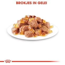 Royal Canin Kattenvoer Sterilised In Jelly 12 X 85 Gr -Huisdierbenodigdheden Bevordering royal canin sterilised in jelly volwassen kat castratie sterilisatie hero kibble