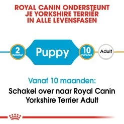 Royal Canin Hondenvoer Yorkshire Terrier Puppy 7,5 Kg 9 Royal Canin Hondenvoer Yorkshire Terrier Puppy 7,5 Kg -Huisdierbenodigdheden Bevordering royal canin yorkshire terrier junior pup hond yorkshire terrier hero image 9