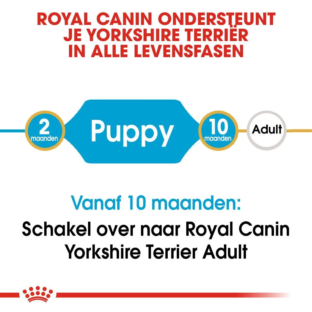 Royal Canin Hondenvoer Yorkshire Terrier Puppy 7,5 Kg 6 Royal Canin Hondenvoer Yorkshire Terrier Puppy 7,5 Kg - Afbeelding 4