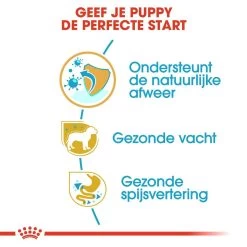 Royal Canin Hondenvoer Yorkshire Terrier Puppy 7,5 Kg 8 Royal Canin Hondenvoer Yorkshire Terrier Puppy 7,5 Kg -Huisdierbenodigdheden Bevordering royal canin yorkshire terrier junior pup hond yorkshire terrier hero usp